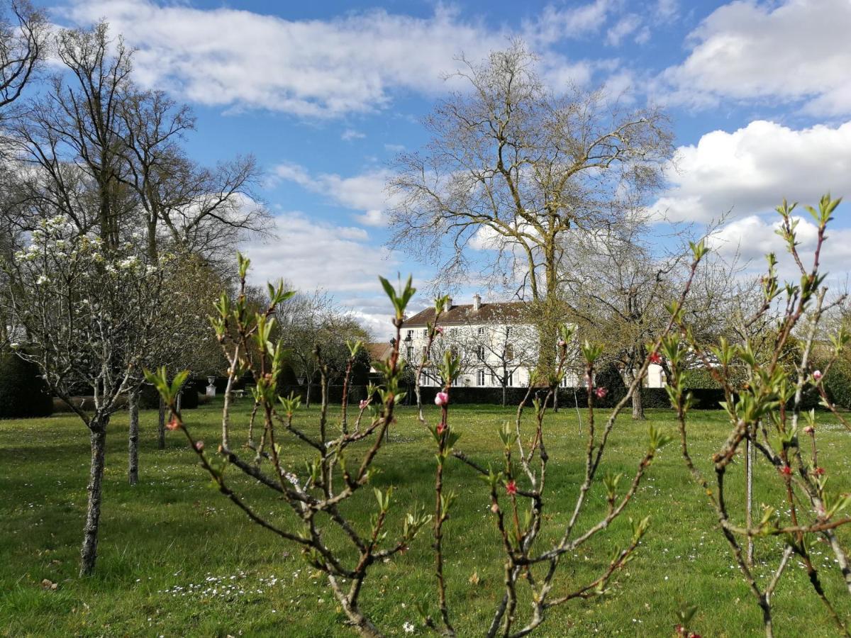 Chateau De Brinville Saint-Sauveur-sur-Ecole ภายนอก รูปภาพ