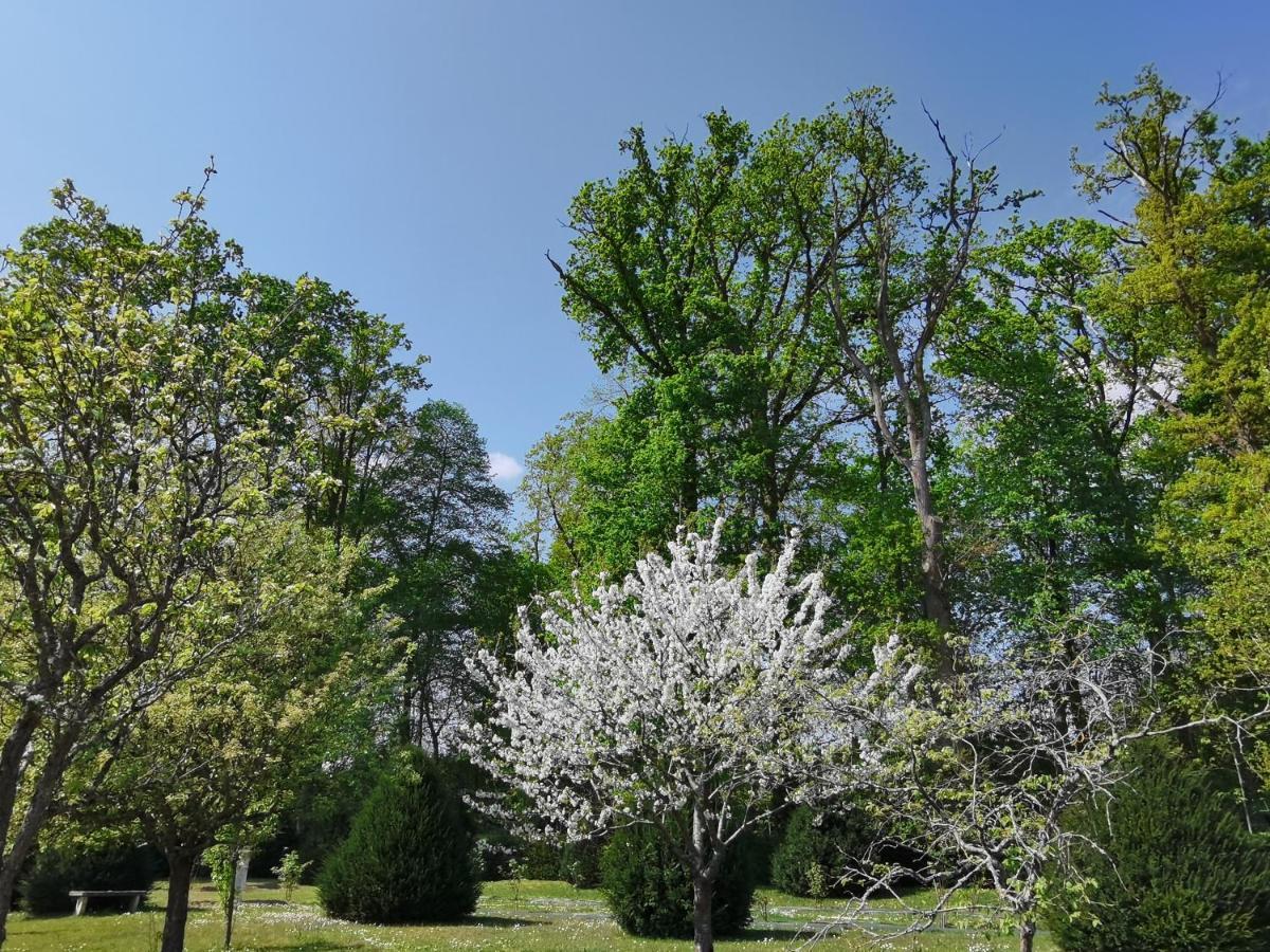 Chateau De Brinville Saint-Sauveur-sur-Ecole ภายนอก รูปภาพ