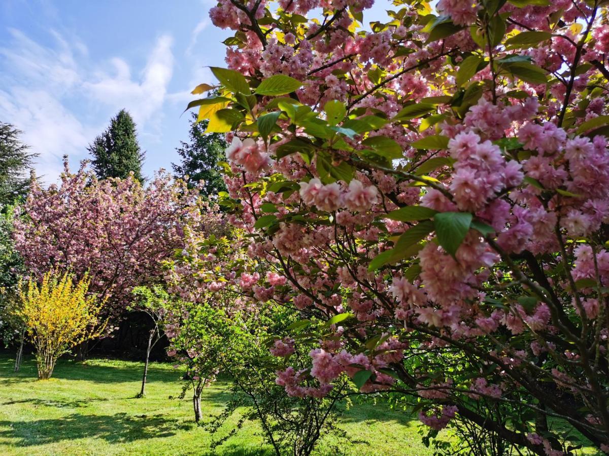 Chateau De Brinville Saint-Sauveur-sur-Ecole ภายนอก รูปภาพ