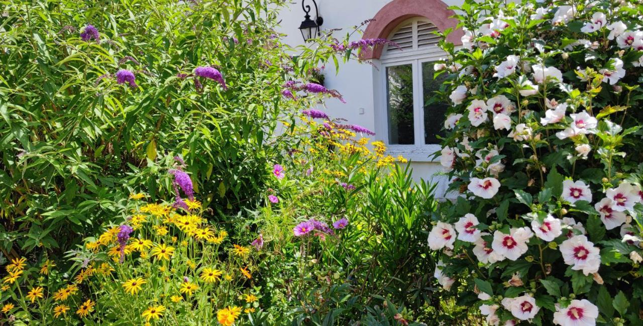 Chateau De Brinville Saint-Sauveur-sur-Ecole ภายนอก รูปภาพ