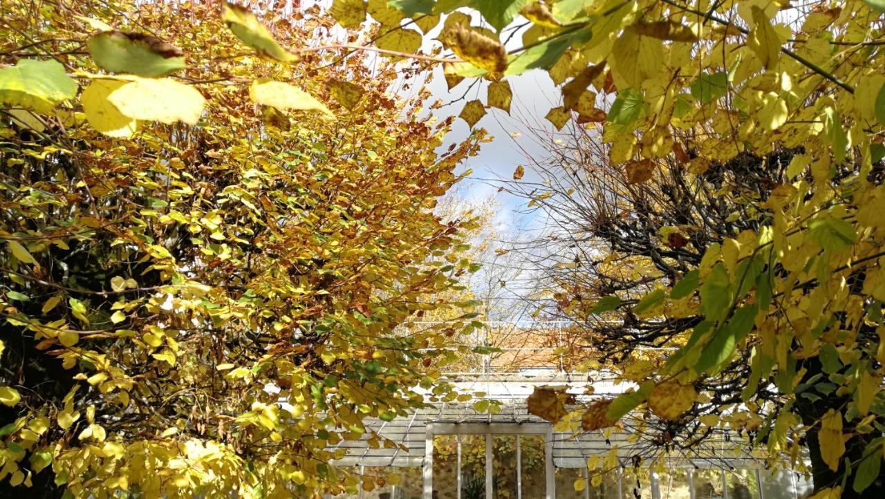 Chateau De Brinville Saint-Sauveur-sur-Ecole ภายนอก รูปภาพ