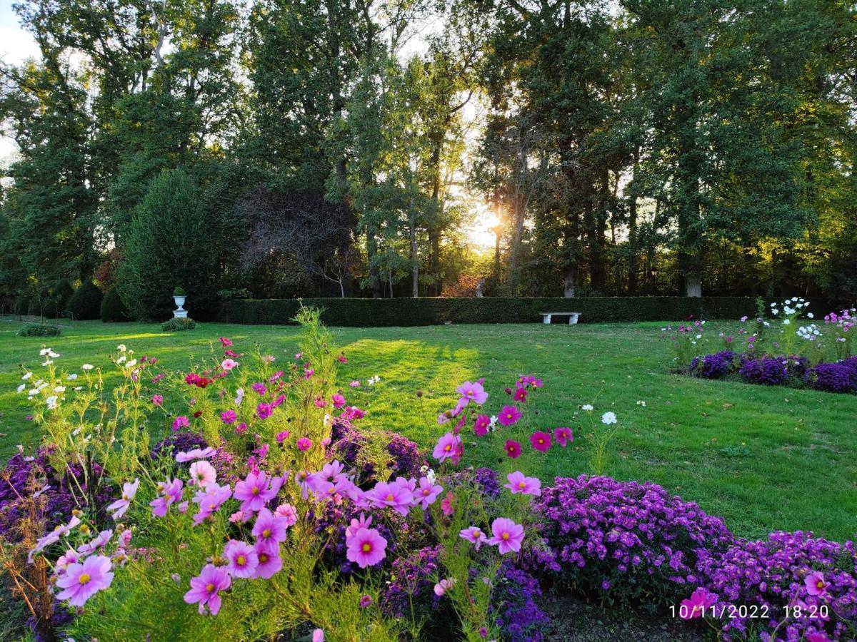 Chateau De Brinville Saint-Sauveur-sur-Ecole ภายนอก รูปภาพ