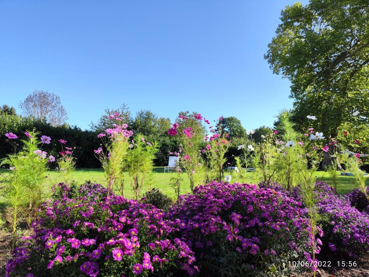 Chateau De Brinville Saint-Sauveur-sur-Ecole ภายนอก รูปภาพ