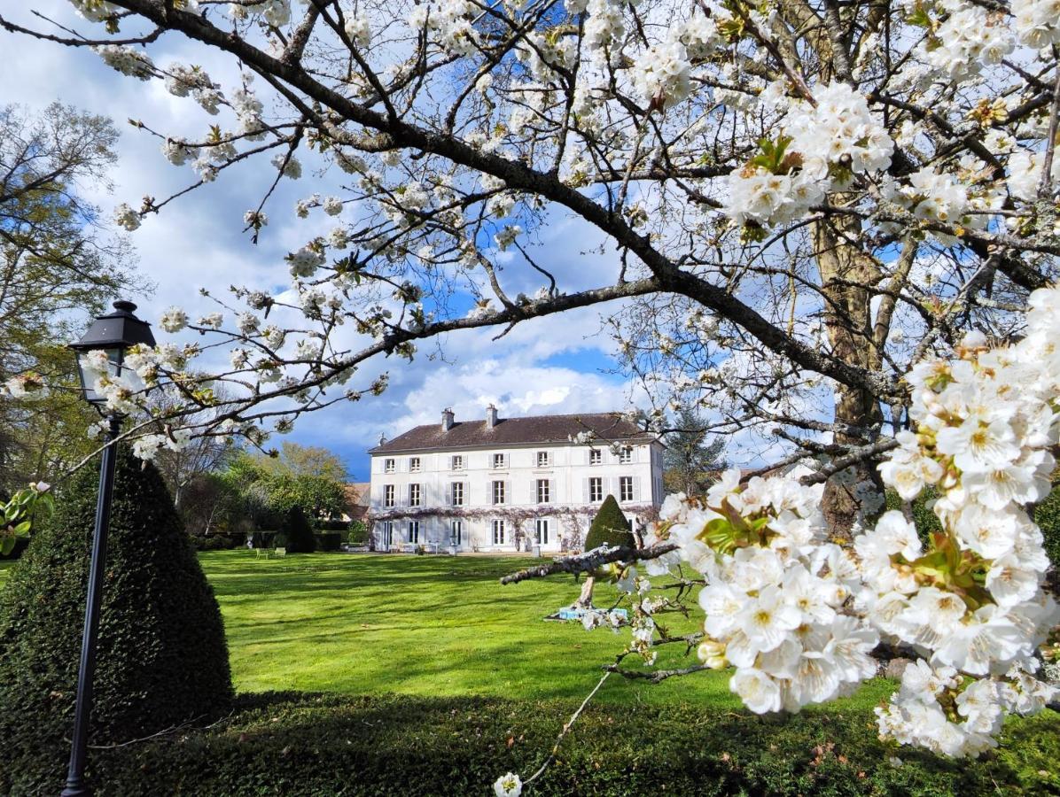 Chateau De Brinville Saint-Sauveur-sur-Ecole ภายนอก รูปภาพ