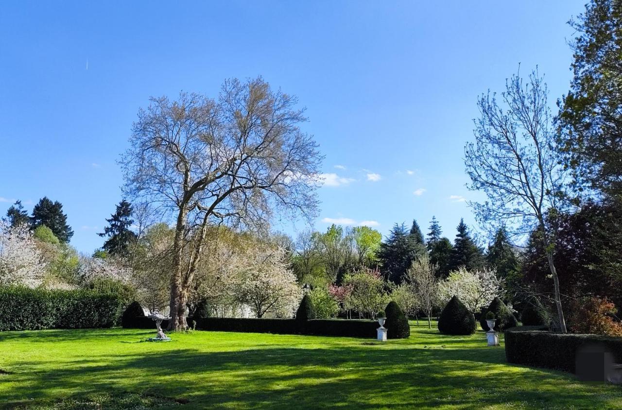 Chateau De Brinville Saint-Sauveur-sur-Ecole ภายนอก รูปภาพ