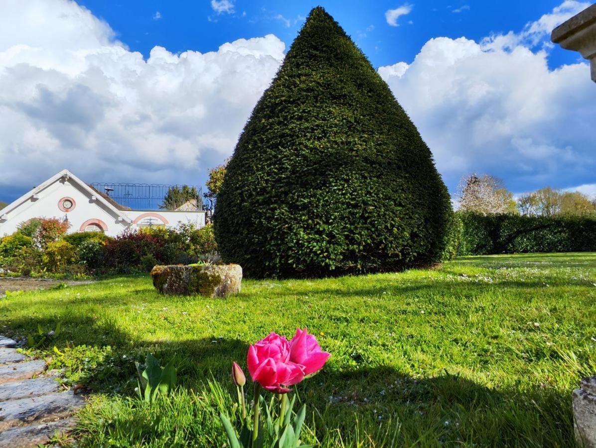Chateau De Brinville Saint-Sauveur-sur-Ecole ภายนอก รูปภาพ